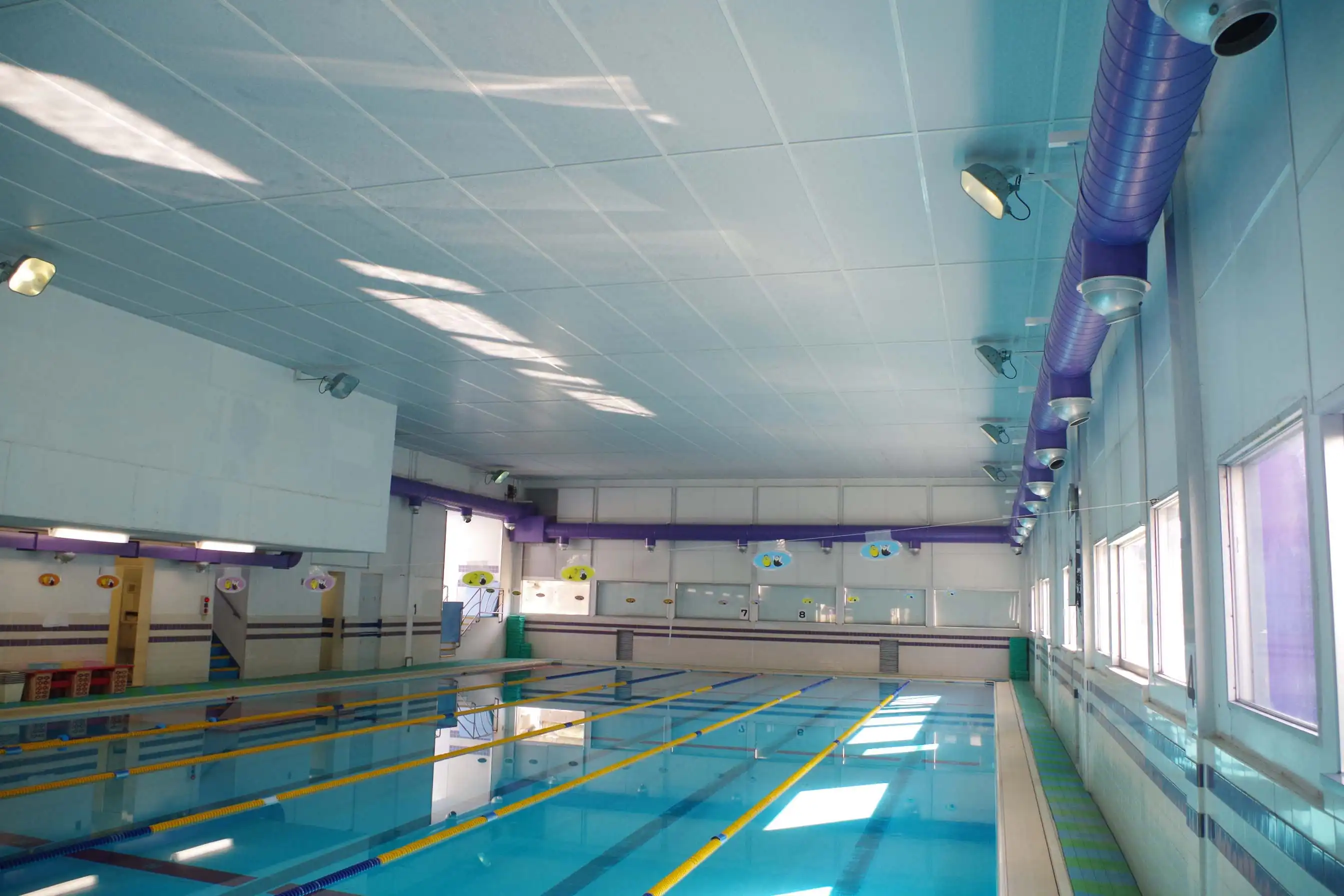 すいえいかんのメインプール - 広々とした25mプールと明るい施設内観