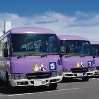 紫色のすいえいかんオリジナルバスの写真